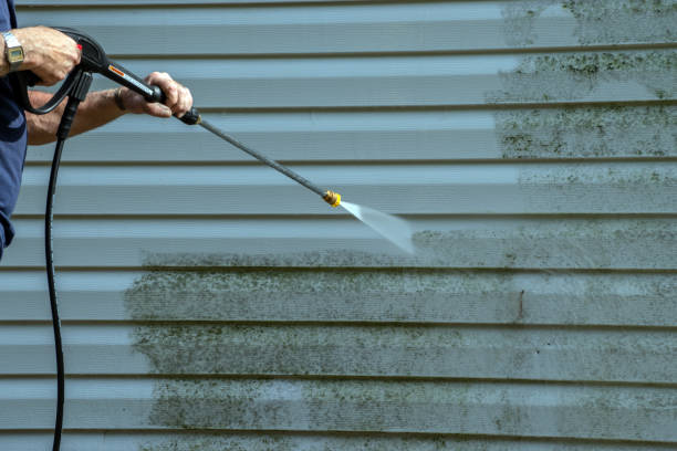 Best Driveway Pressure Washing  in Melvindale, MI